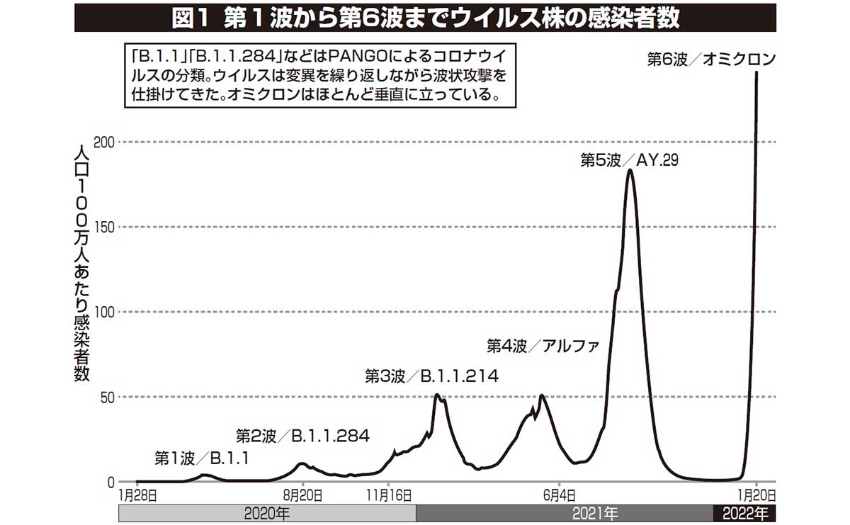 第1波から第6波までウイルス株の感染者数